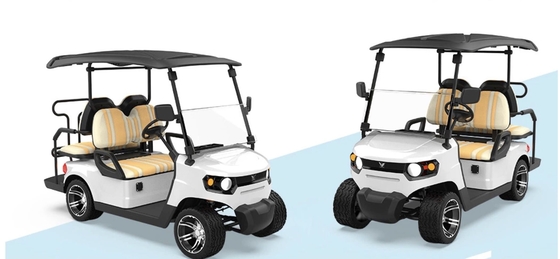 Off-road personnalisé Acide de plomb Batterie de chasse Buggy meilleur chariot de golf électrique