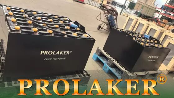 Batterie de traction rechargeable haute performance au plomb-acide pour chariot élévateur 48v 5PZS625 pour Hyter R30XMS2