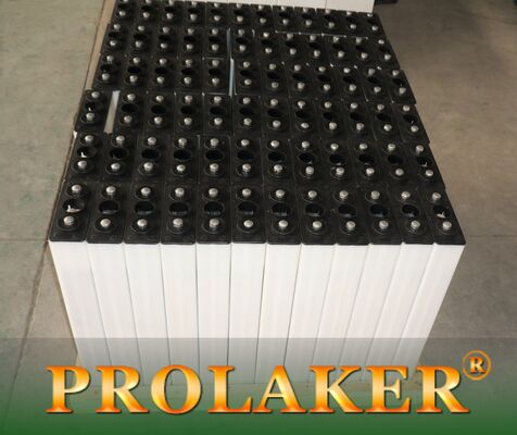 De batteries industrielles de 2 chariots élévateurs 225Ah/5hrs de volt technologie tubulaire de plats positifs