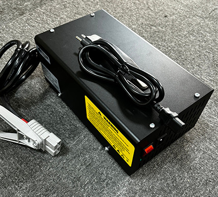 Chargeur de batterie de la série ESCH 24V 30A Chargeur de batterie à haute fréquence 240v 1PHASE